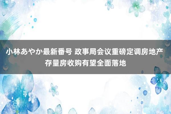 小林あやか最新番号 政事局会议重磅定调房地产 存量房收购有望全面落地