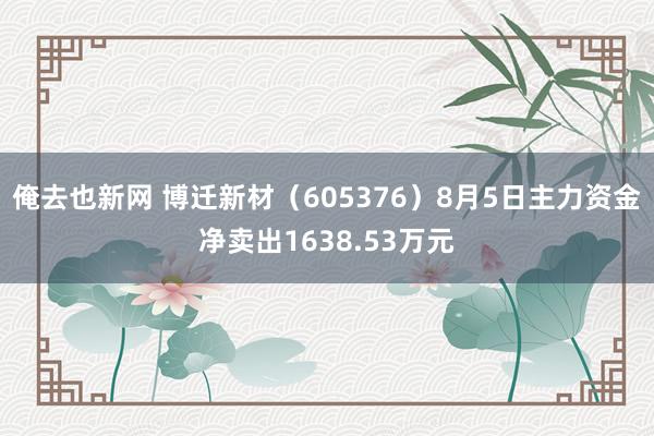 俺去也新网 博迁新材（605376）8月5日主力资金净卖出1638.53万元