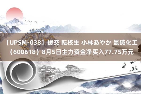 【UPSM-038】援交 転校生 小林あやか 氯碱化工（600618）8月5日主力资金净买入77.75万元