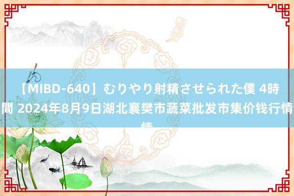 【MIBD-640】むりやり射精させられた僕 4時間 2024年8月9日湖北襄樊市蔬菜批发市集价钱行情