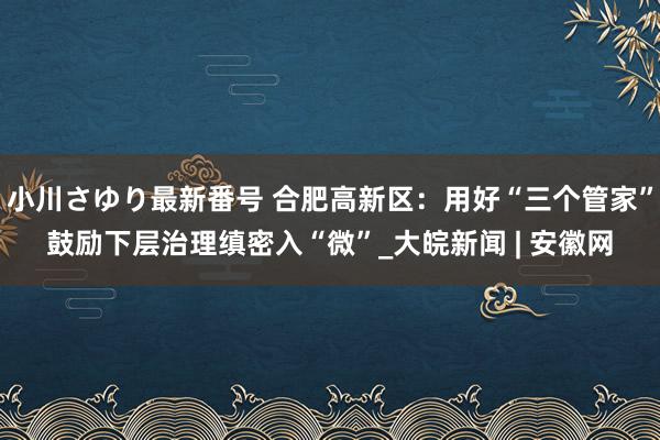 小川さゆり最新番号 合肥高新区：用好“三个管家”鼓励下层治理缜密入“微”_大皖新闻 | 安徽网