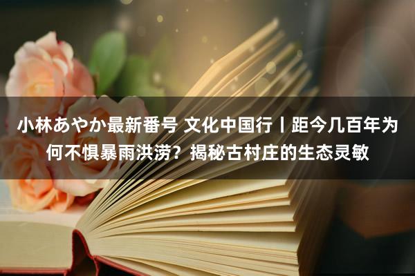 小林あやか最新番号 文化中国行丨距今几百年为何不惧暴雨洪涝？揭秘古村庄的生态灵敏