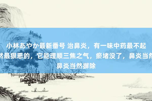 小林あやか最新番号 治鼻炎，有一味中药最不起眼亦然最狠恶的，它能理顺三焦之气，瘀堵没了，鼻炎当然摒除