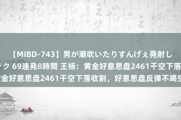 【MIBD-743】男が潮吹いたりすんげぇ発射しちゃう！ 女神の痴女テク 69連発8時間 王杨：黄金好意思盘2461干空下落收割，好意思盘反弹不竭空！