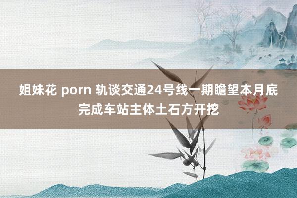 姐妹花 porn 轨谈交通24号线一期瞻望本月底完成车站主体土石方开挖