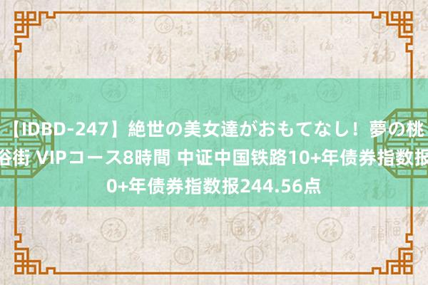 【IDBD-247】絶世の美女達がおもてなし！夢の桃源郷 IP風俗街 VIPコース8時間 中证中国铁路10+年债券指数报244.56点