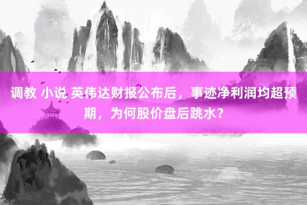 调教 小说 英伟达财报公布后，事迹净利润均超预期，为何股价盘后跳水？