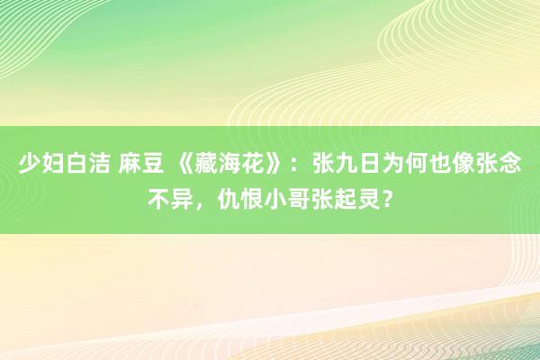 少妇白洁 麻豆 《藏海花》：张九日为何也像张念不异，仇恨小哥张起灵？