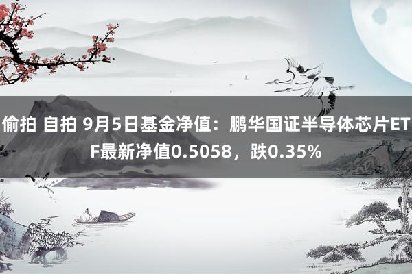 偷拍 自拍 9月5日基金净值：鹏华国证半导体芯片ETF最新净值0.5058，跌0.35%