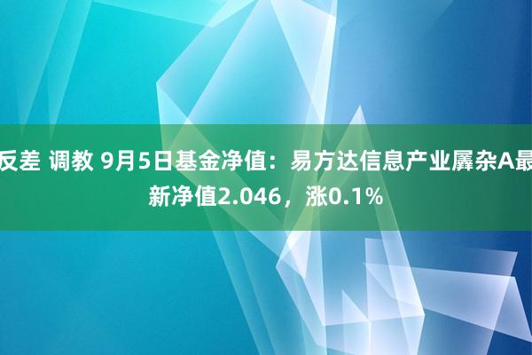 反差 调教 9月5日基金净值：易方达信息产业羼杂A最新净值2.046，涨0.1%