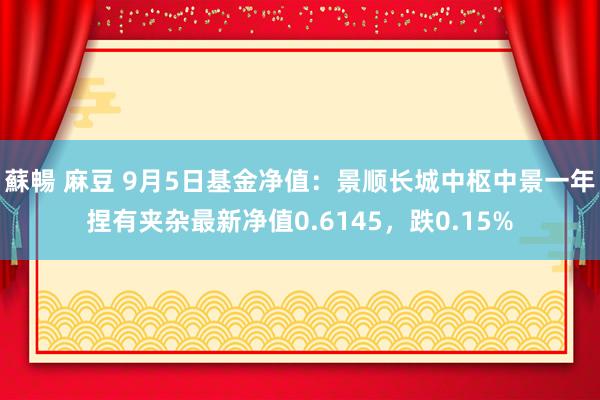 蘇暢 麻豆 9月5日基金净值：景顺长城中枢中景一年捏有夹杂最新净值0.6145，跌0.15%