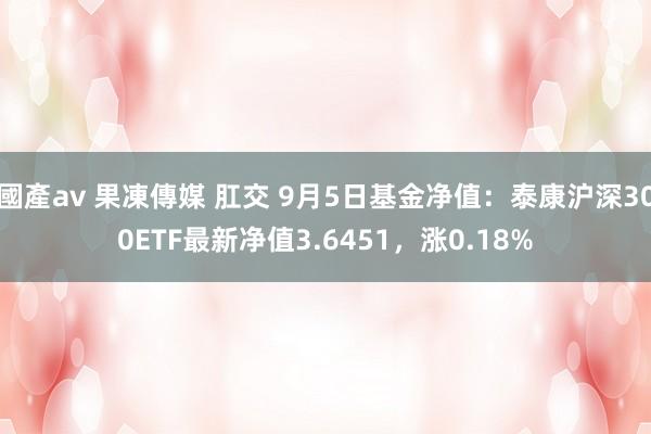 國產av 果凍傳媒 肛交 9月5日基金净值：泰康沪深300ETF最新净值3.6451，涨0.18%