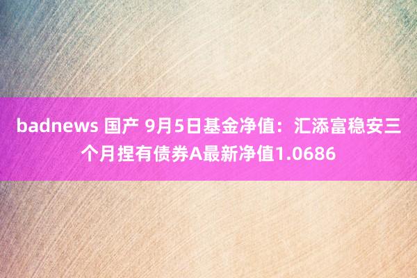 badnews 国产 9月5日基金净值：汇添富稳安三个月捏有债券A最新净值1.0686