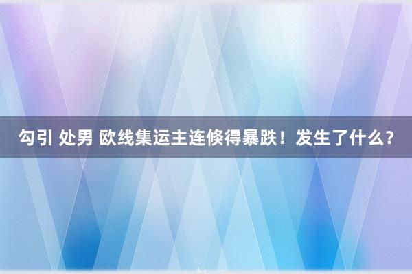 勾引 处男 欧线集运主连倏得暴跌！发生了什么？