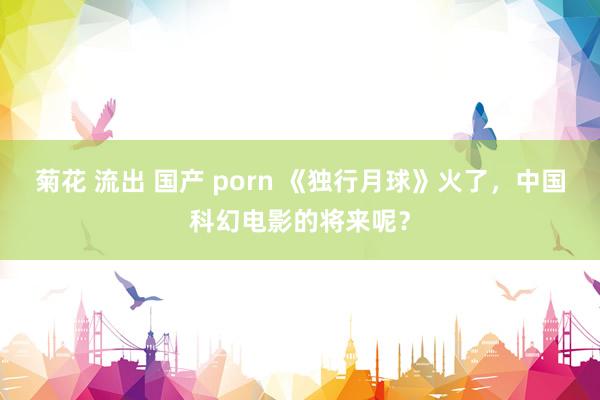 菊花 流出 国产 porn 《独行月球》火了，中国科幻电影的将来呢？